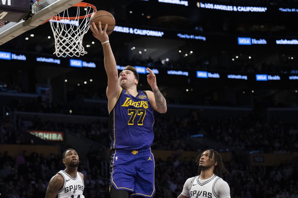 森林狼与活 森林狼与活